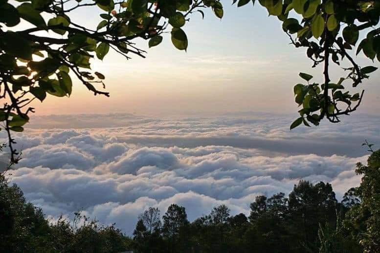 Minus 1 Ξενοδοχείο Kodaikanal Εξωτερικό φωτογραφία